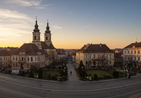 Satu Mare