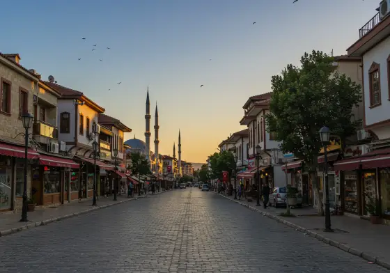 Didim
